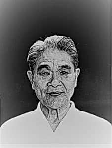 Shoji Nishio Sensei
